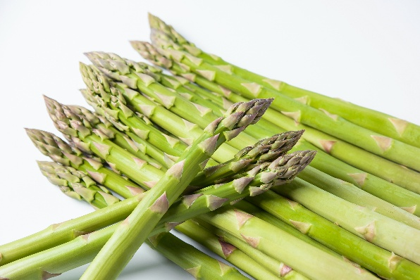 スライド画像14